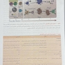 QR مرجع سریع ایمونولوژی سلولی و مولکولی ابوالعباس 2022