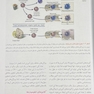 QR مرجع سریع ایمونولوژی سلولی و مولکولی ابوالعباس 2022