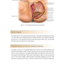 Female Cosmetic Genital Surgery: Concepts, classification and techniques 1st Edition 2017