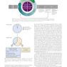 Nelson Pediatric Symptom-Based Diagnosis 2nd Edicion 2023