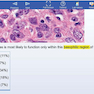 کتاب تمام رنگیUSMLE World – Uworld Step 1 2021