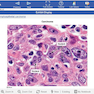 کتاب تمام رنگیUSMLE World – Uworld Step 1 2021
