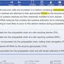 کتاب تمام رنگیUSMLE World – Uworld Step 1 2021