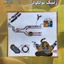 ژنتیک مولکولی