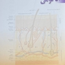 راهنمای کاربردی لایه برداری زیبایی و جوانسازی دارویی پوست