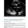 Practical Echocardiography for Cardiac Sonographers 2020