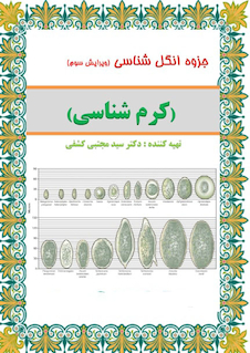 عکس جزوه انگل شناسی ( کرم شناسی )