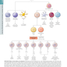 HARRISONS PRINCIPLES OF INTERNAL MEDICINE Part Immune_Mediated,Inflammatory,and Rheumatologic Disorders