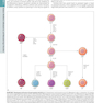 HARRISONS PRINCIPLES OF INTERNAL MEDICINE Part Immune_Mediated,Inflammatory,and Rheumatologic Disorders