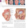 The Art and Science of Facelift Surgery: A Video Atlas 1st Edicion 2019