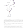 Gene Cloning and DNA Analysis: An Introduction (کلون سازی ژن)