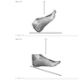 Workbook for Radiographic Image Analysis 5th Edicion