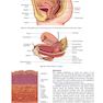 DC Dutta’s Textbook of Gynecology, 8th Edition2020