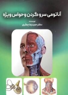 عکس آناتومی سر و گردن و حواس ویژه