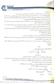 عکس سناریو های شیرین کودکان میانبری بر اسنشیال نلسون 2023(جلد اول )