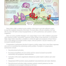 Medcomic: The Most Entertaining Way to Study Medicine, Third Edition 3rd Edición