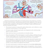 Medcomic: The Most Entertaining Way to Study Medicine, Third Edition 3rd Edición