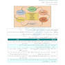 درسنامه طلایی روانپزشکی