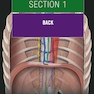 The Big Picture: Gross Anatomy, Medical Course & Step 1 Review, Second Edition