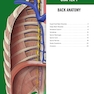 The Big Picture: Gross Anatomy, Medical Course & Step 1 Review, Second Edition