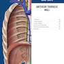The Big Picture: Gross Anatomy, Medical Course & Step 1 Review, Second Edition
