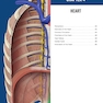 The Big Picture: Gross Anatomy, Medical Course & Step 1 Review, Second Edition