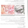 درسنامه طلایی پاتولوژی دو جلدی