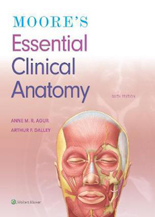 عکس Moore’s Essential Clinical Anatomy, Sixth Edition 2019