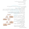 IQ پلاس نفرولوژی