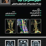 آناتومی مقطعی سر و گردن رستم زاده