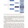 Rheumatology for Primary Care Providers : A Clinical Casebook