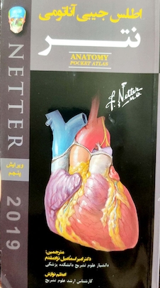 عکس اطلس جیبی آناتومی نتر
