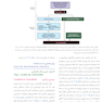 رادیولوژی اصول و تفسیر وایت فارو 2019 جلد دوم