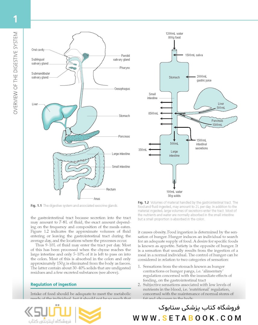 The Digestive System: Systems of the Body Series 2nd Edition
