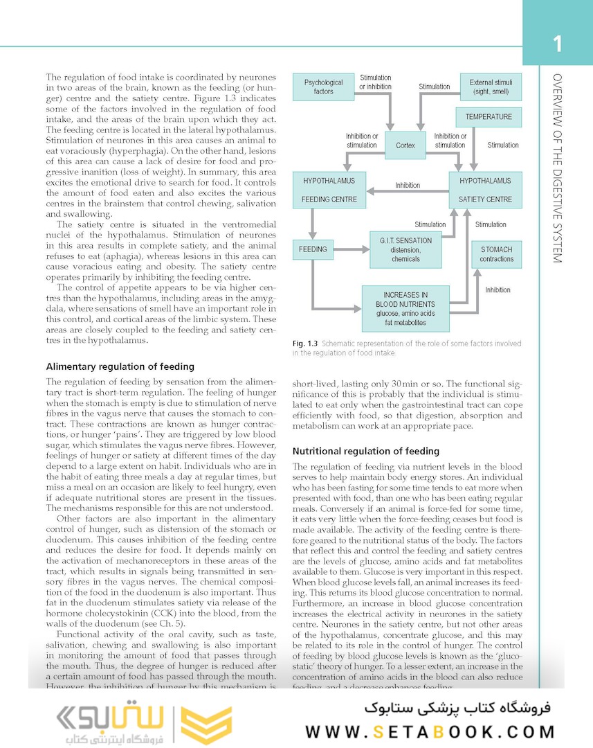 The Digestive System: Systems of the Body Series 2nd Edition