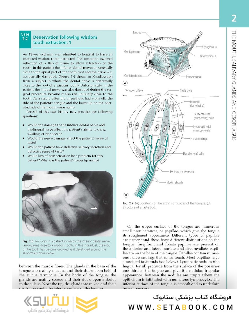 The Digestive System: Systems of the Body Series 2nd Edition
