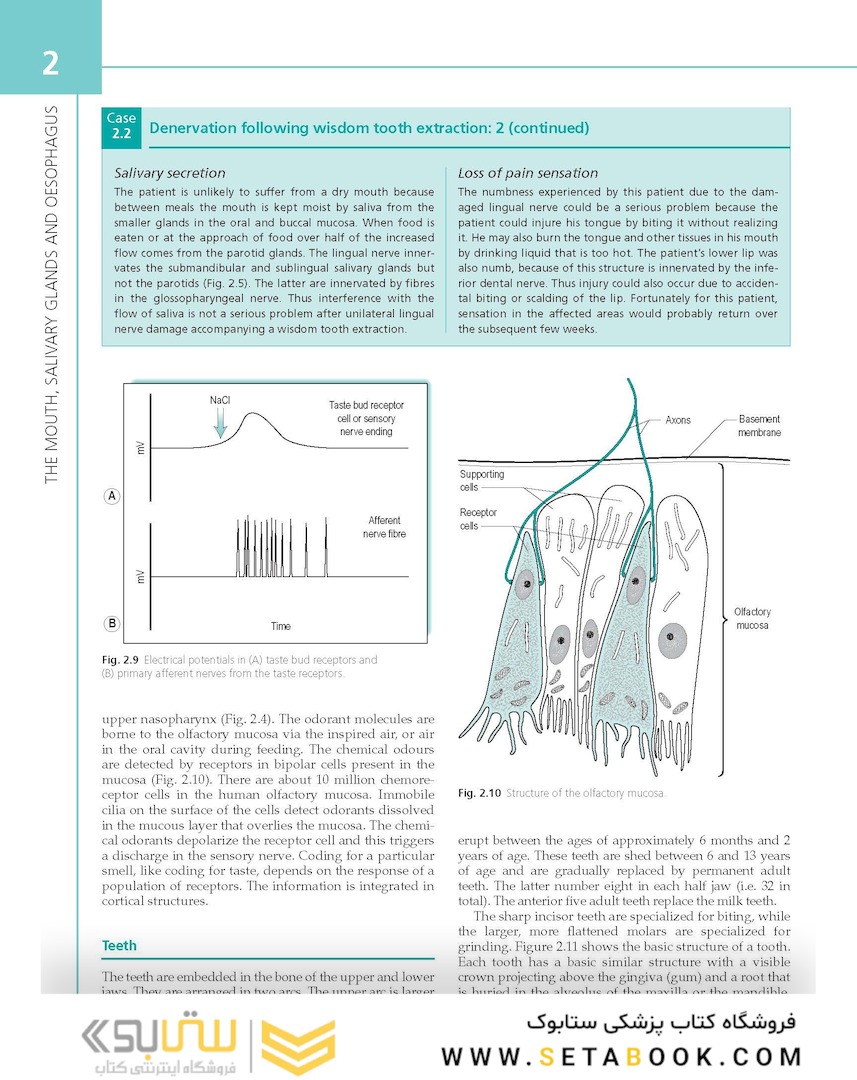 The Digestive System: Systems of the Body Series 2nd Edition