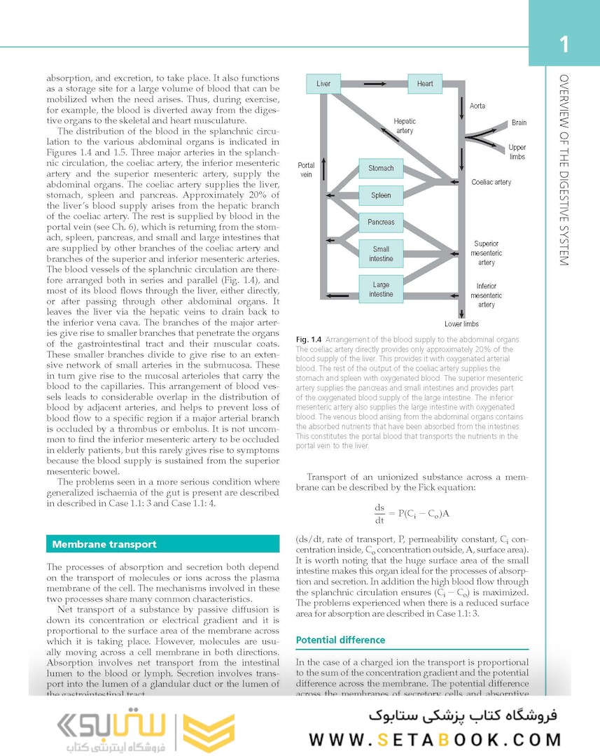 The Digestive System: Systems of the Body Series 2nd Edition