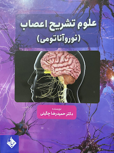 عکس علوم تشریح اعصاب (نوروآناتومی)
