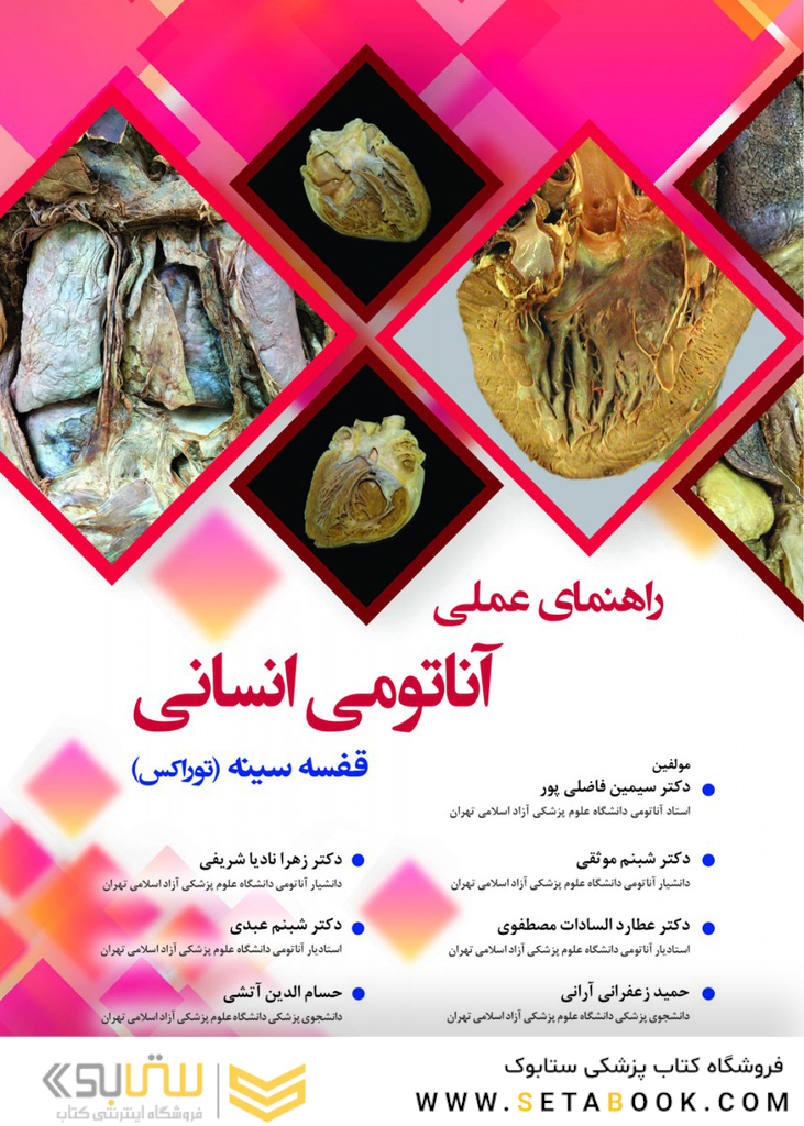 راهنمای عملی آناتومی انسانی توراکس قفسه سینه