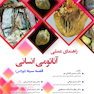 راهنمای عملی آناتومی انسانی توراکس قفسه سینه