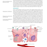 Ryan - Sherris Medical Microbiology, 8th Edicion 2022