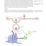 Ryan - Sherris Medical Microbiology, 8th Edicion 2022