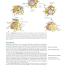 Ryan - Sherris Medical Microbiology, 8th Edicion 2022