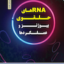 RNAهای حلقوی بیوژنز و عملکردها