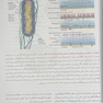 اصول بیوشیمی لنینجر 2021 ویرایش هشتم 5 استاد جلد اول