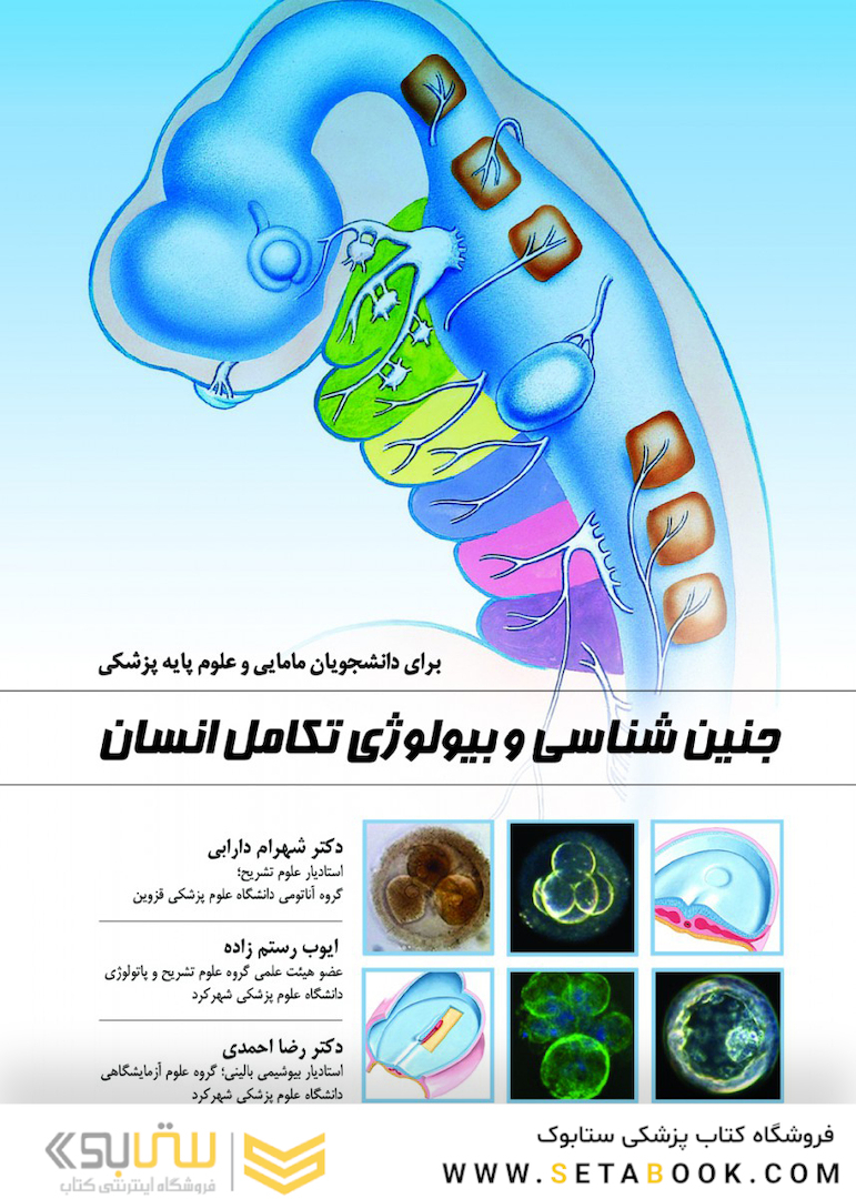 جنین شناسی و بیولوژی تکامل انسان