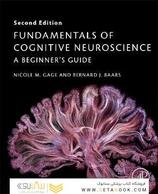 Fundamentals of Cognitive Neuroscience : A Beginner