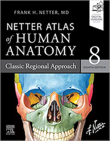 عکس Netter Atlas of Human Anatomy: Classic Regional Approach: (Netter Basic Science) 8th Edition