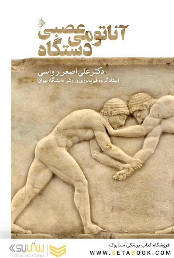 آناتومی دستگاه عصبی